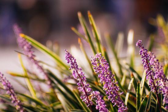 人像拍摄镜头全画幅,人像拍摄索尼镜头推荐