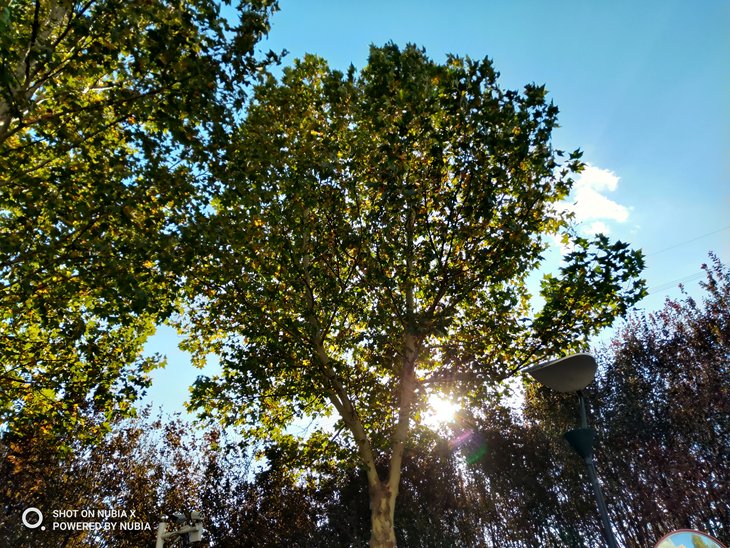 努比亚双摄旗舰曲面屏,努比亚x双屏测评