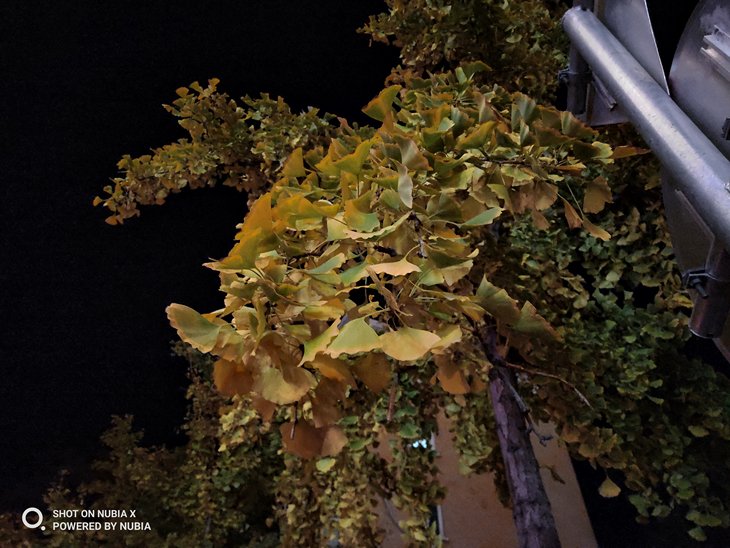 努比亚双摄旗舰曲面屏,努比亚x双屏测评