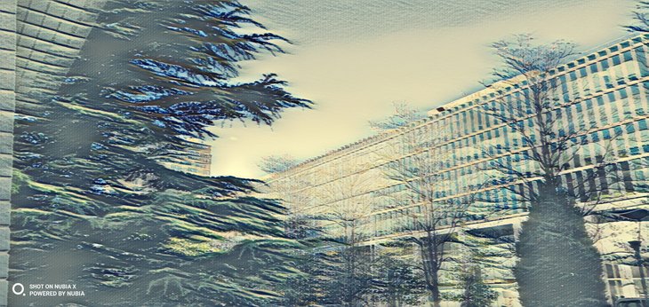 努比亚双摄旗舰曲面屏,努比亚x双屏测评