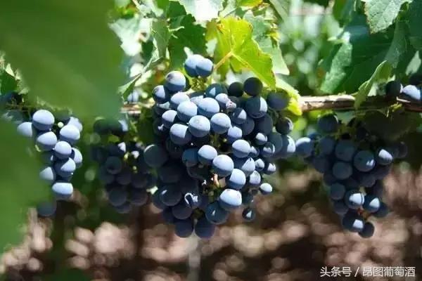 只要3个方法让你瞬间了解一个人,只需三个点让你了解东风风神