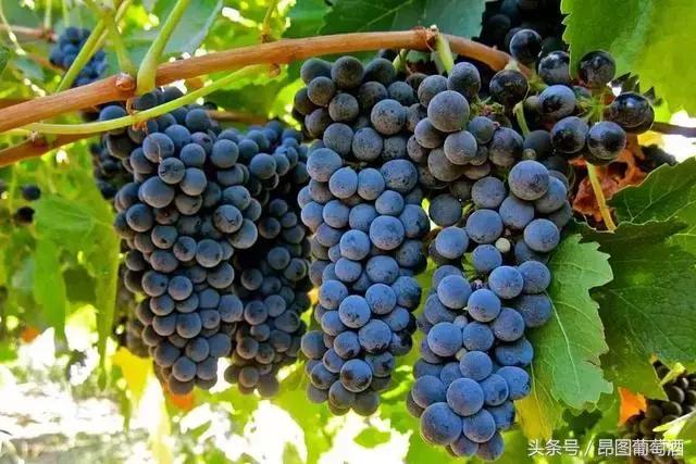 只要3个方法让你瞬间了解一个人,只需三个点让你了解东风风神