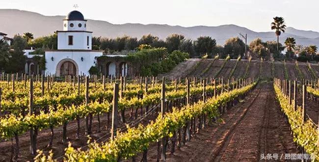 只要3个方法让你瞬间了解一个人,只需三个点让你了解东风风神