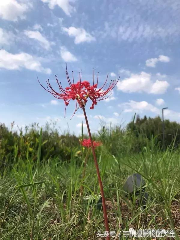 教你如何用手机拍出最好的照片,十个秘诀让你用手机拍出好照片