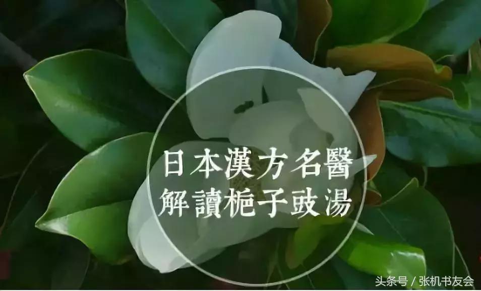 汉方栀子豉汤,经方栀子豉汤怎么用