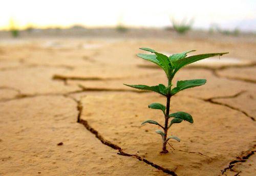 微商引流的方法和技巧,微商引流方法和技巧是什么