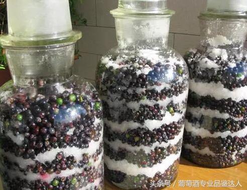 自酿葡萄酒的制作全过程,怎样自制葡萄酒酿出来的好喝