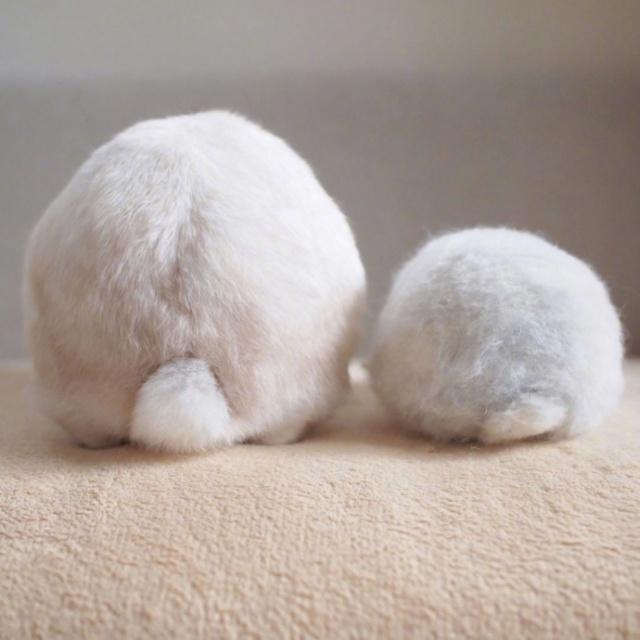 微信个性签名搞笑简短大全,微信个性签名短句搞笑