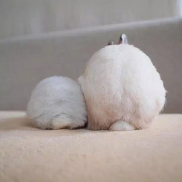 微信个性签名搞笑简短大全,微信个性签名短句搞笑