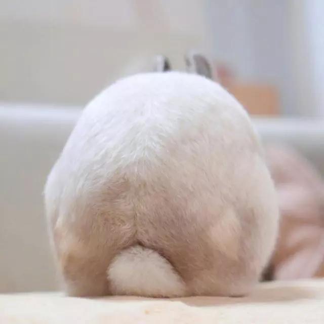 微信个性签名搞笑简短大全,微信个性签名短句搞笑