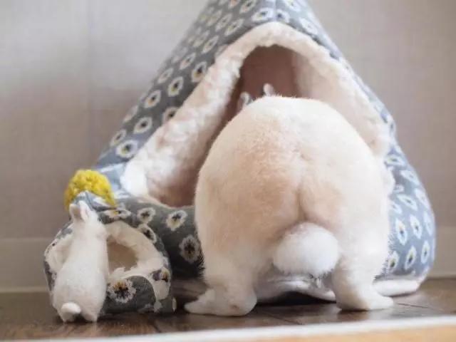 微信个性签名搞笑简短大全,微信个性签名短句搞笑