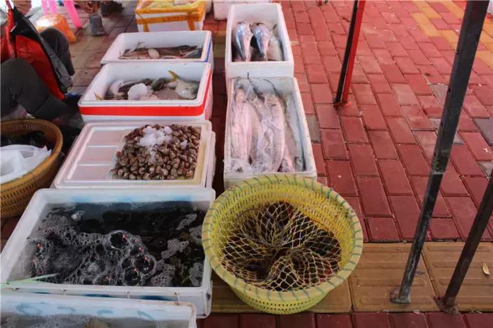 一座悬崖一所房子,一座悬崖上的城市