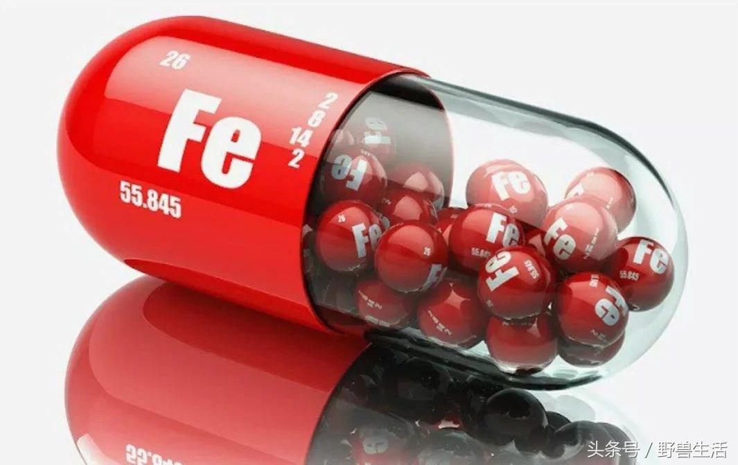 红糖大枣水补血吗,红糖水红枣鸡蛋补铁吗