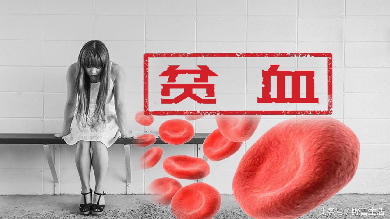 红糖大枣水补血吗,红糖水红枣鸡蛋补铁吗