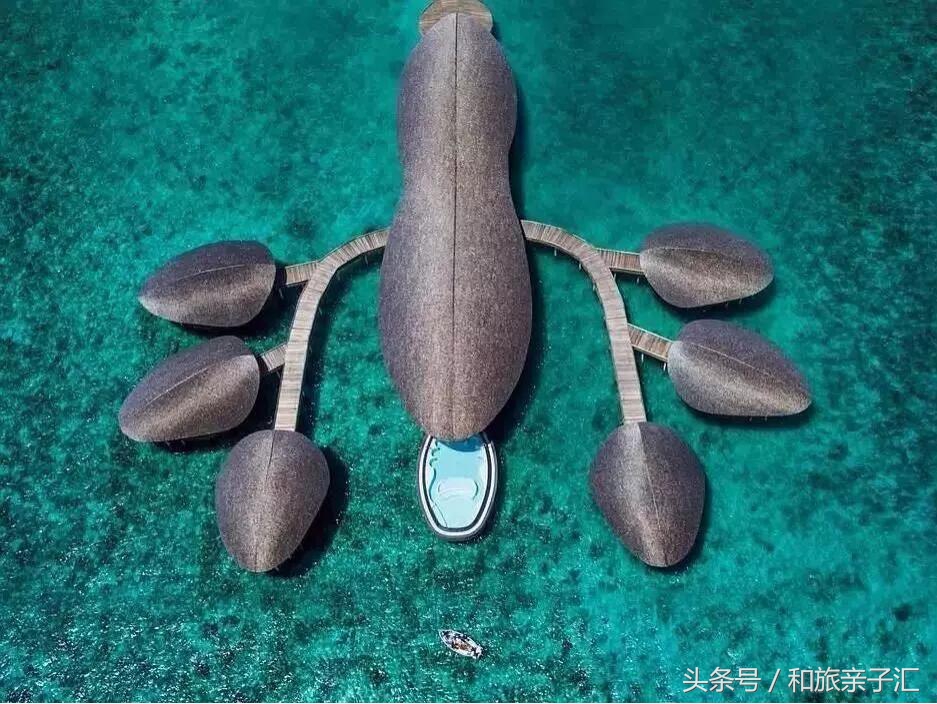 马尔代夫12个顶级度假岛,马尔代夫一日游项目