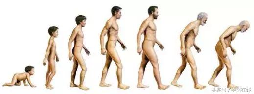 西苑医院男科郭军评价,西苑医院男科郭军出诊时间