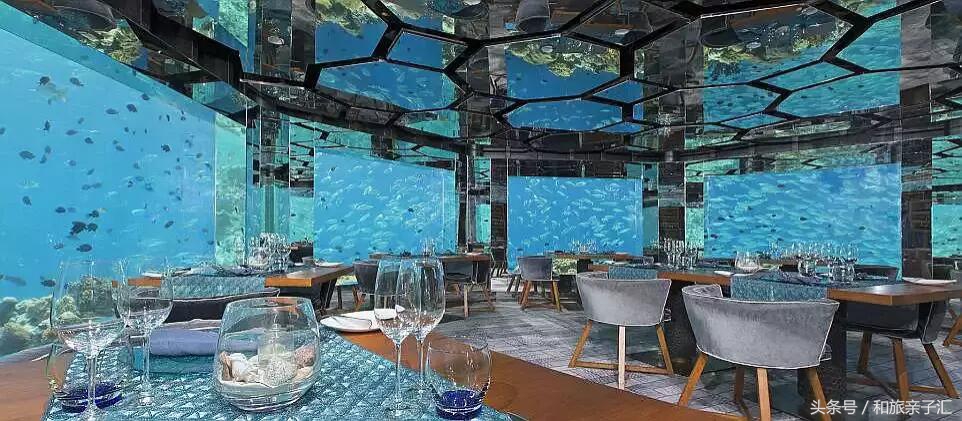 马尔代夫12个顶级度假岛,马尔代夫一日游项目