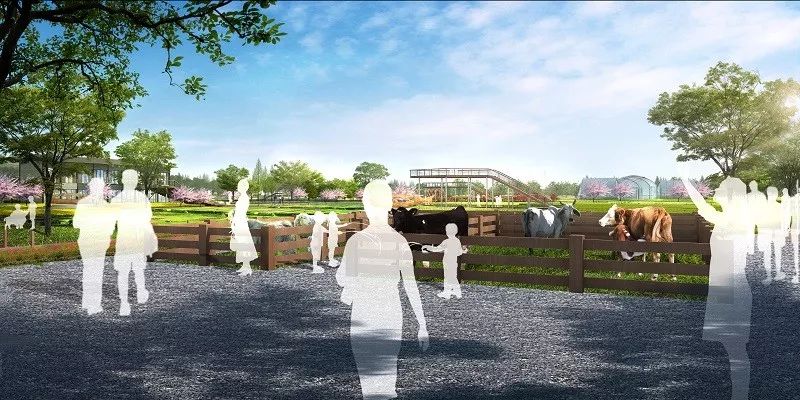 钱江新城后花园规划图,杭州钱江新城足球场