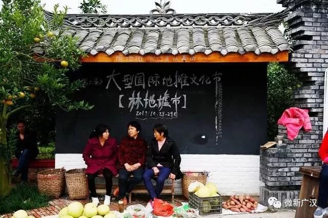 德阳广汉松林镇沙田村,广汉松林镇沙田村视频