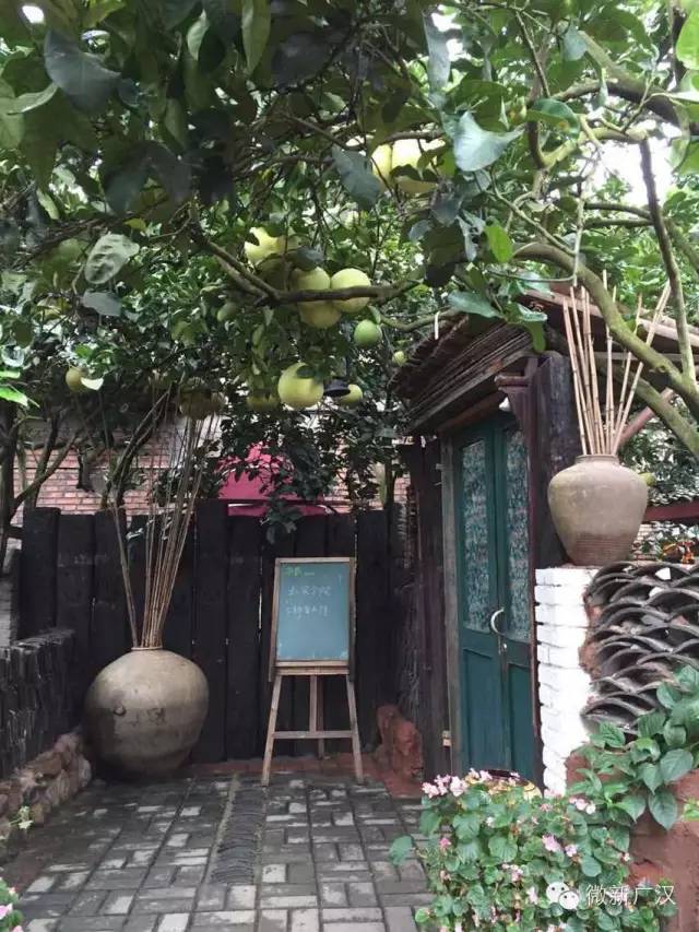 德阳广汉松林镇沙田村,广汉松林镇沙田村视频