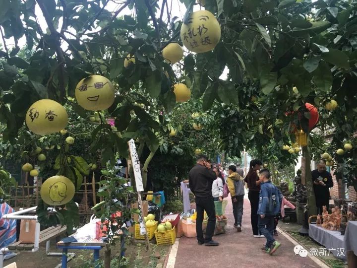 德阳广汉松林镇沙田村,广汉松林镇沙田村视频