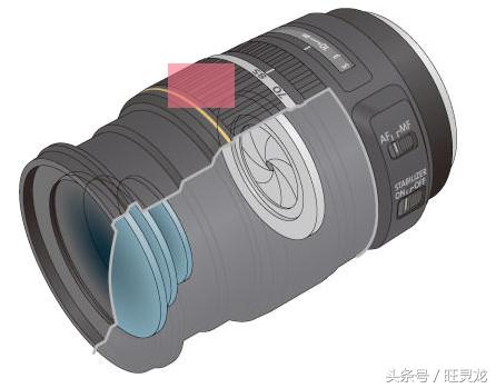 佳能eos最适合新手的单反相机,佳能eos相机哪个型号好