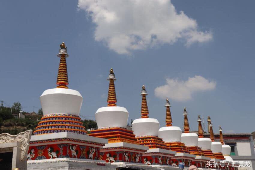 佳能eos最适合新手的单反相机,佳能eos相机哪个型号好