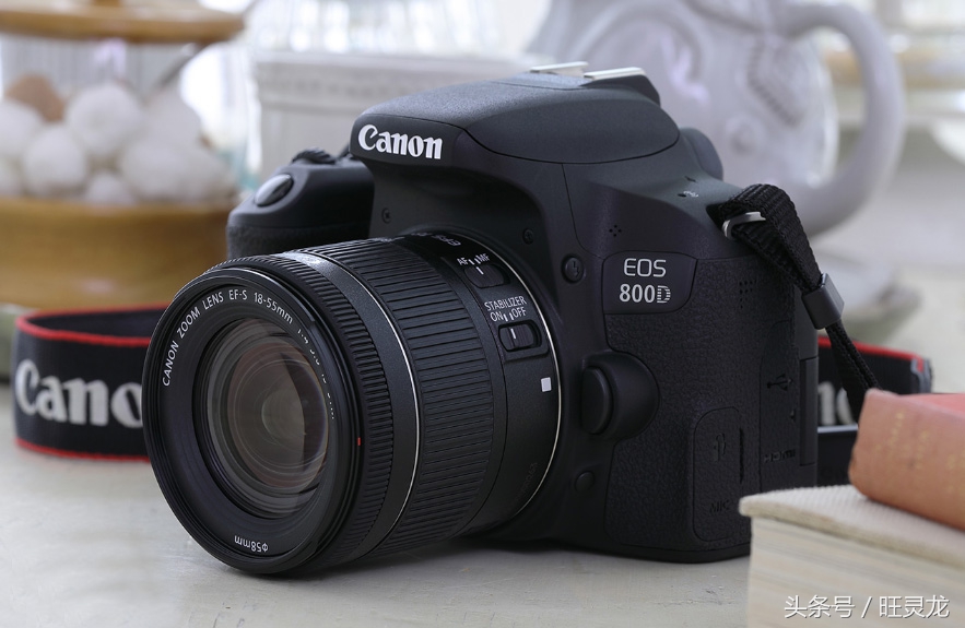 佳能eos最适合新手的单反相机,佳能eos相机哪个型号好