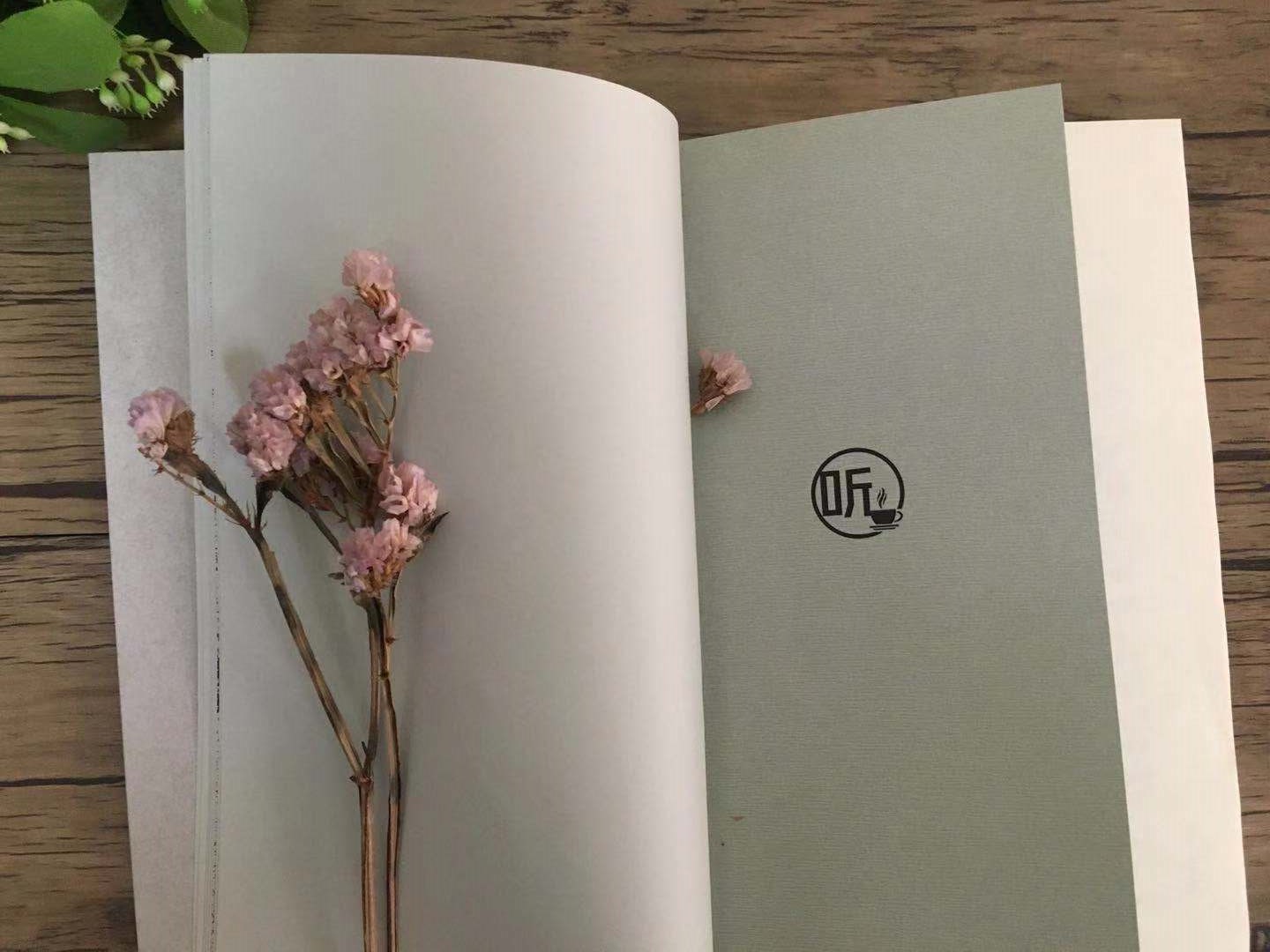 从文家书后记,从文家书全文