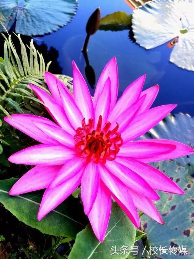 小小改变大大收获的感悟,小小改变带来大大不同