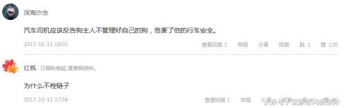 没拴绳的狗被车撞需要赔偿么,没拴狗绳的狗被车撞了负责吗