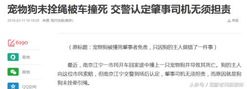 没拴绳的狗被车撞需要赔偿么,没拴狗绳的狗被车撞了负责吗