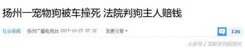 没拴绳的狗被车撞需要赔偿么,没拴狗绳的狗被车撞了负责吗