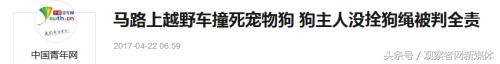 没拴绳的狗被车撞需要赔偿么,没拴狗绳的狗被车撞了负责吗
