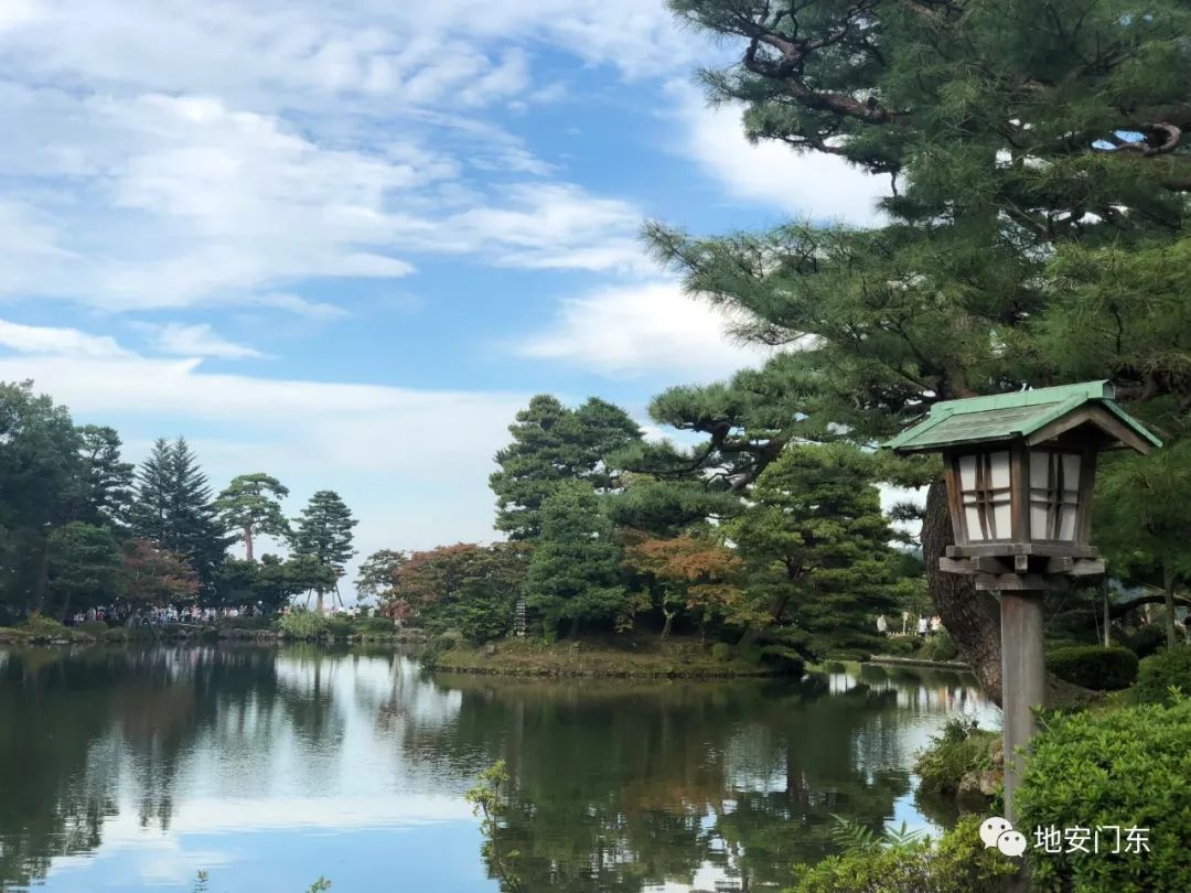 日本高品质小锦鲤,日本金泽市北陆