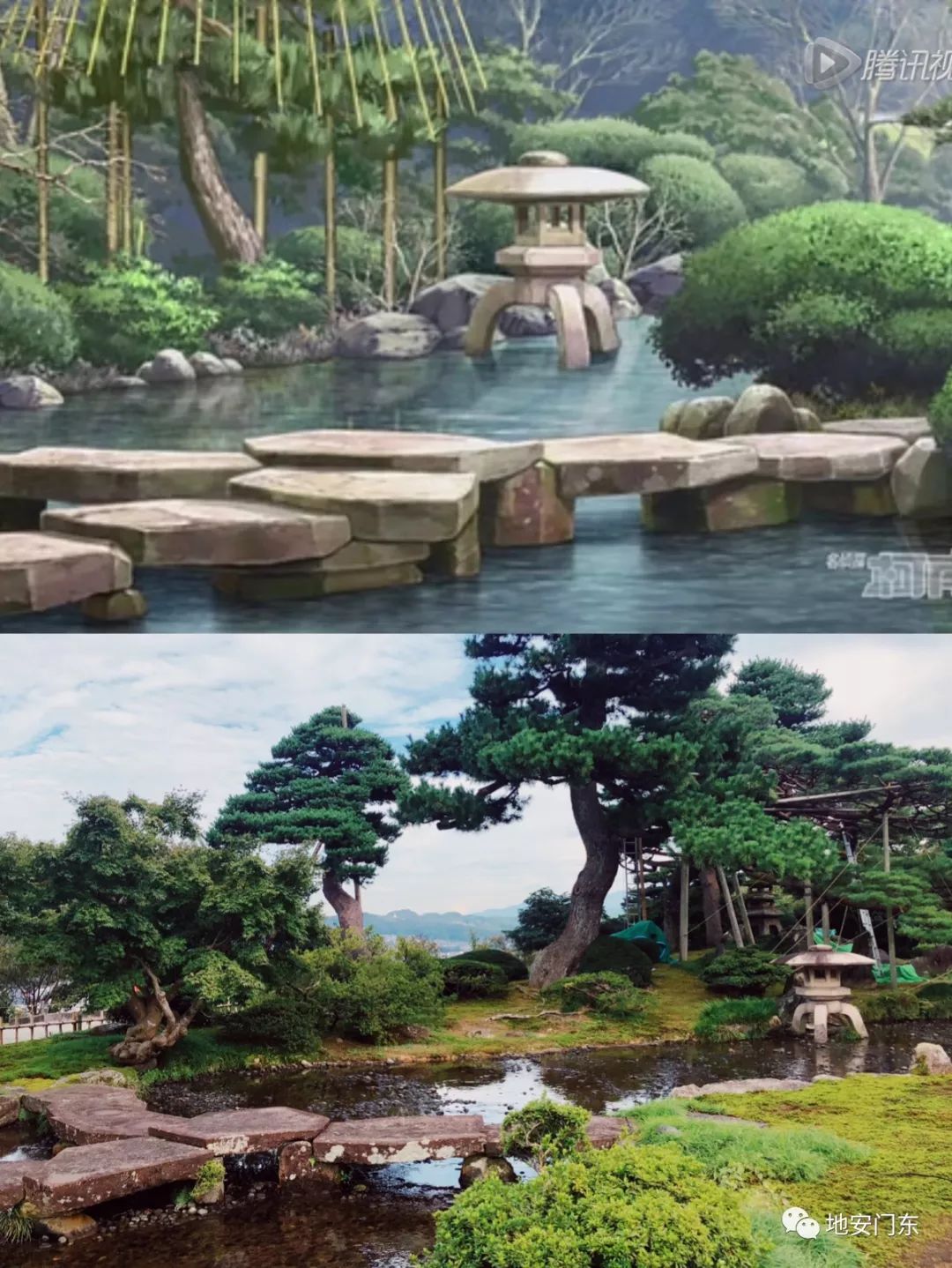 日本高品质小锦鲤,日本金泽市北陆