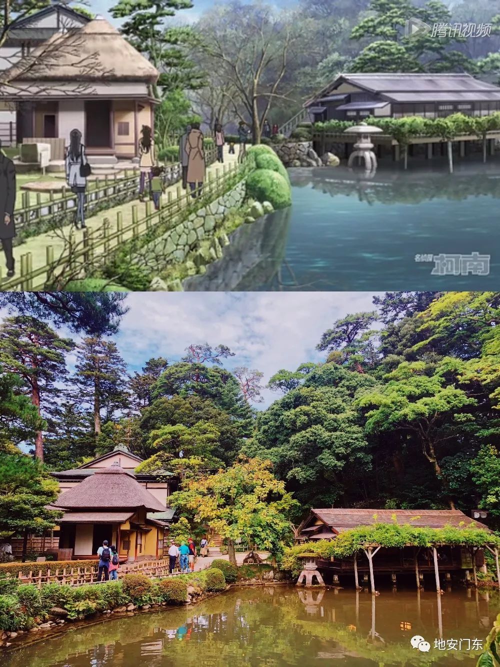 日本高品质小锦鲤,日本金泽市北陆