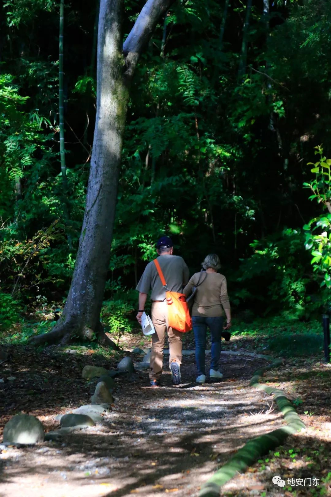 日本高品质小锦鲤,日本金泽市北陆