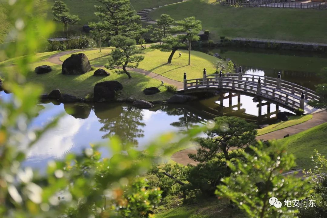 日本高品质小锦鲤,日本金泽市北陆