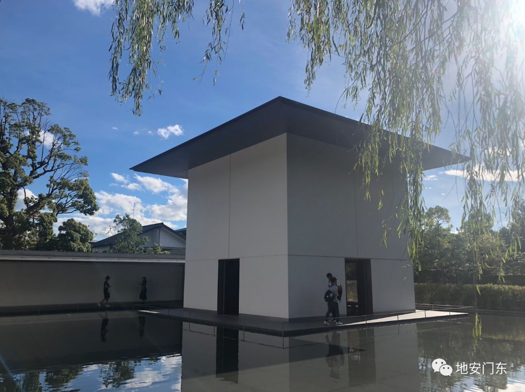 日本高品质小锦鲤,日本金泽市北陆