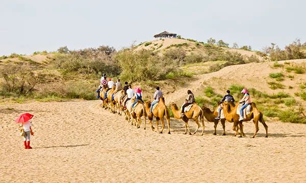 宁夏回族自治区一般包邮不,无货源内蒙和宁夏包邮吗