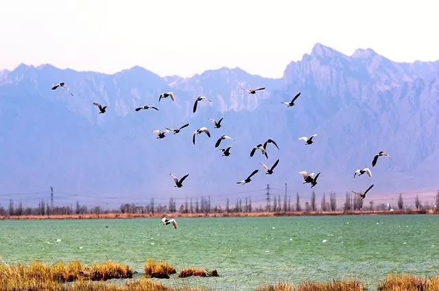宁夏回族自治区一般包邮不,无货源内蒙和宁夏包邮吗