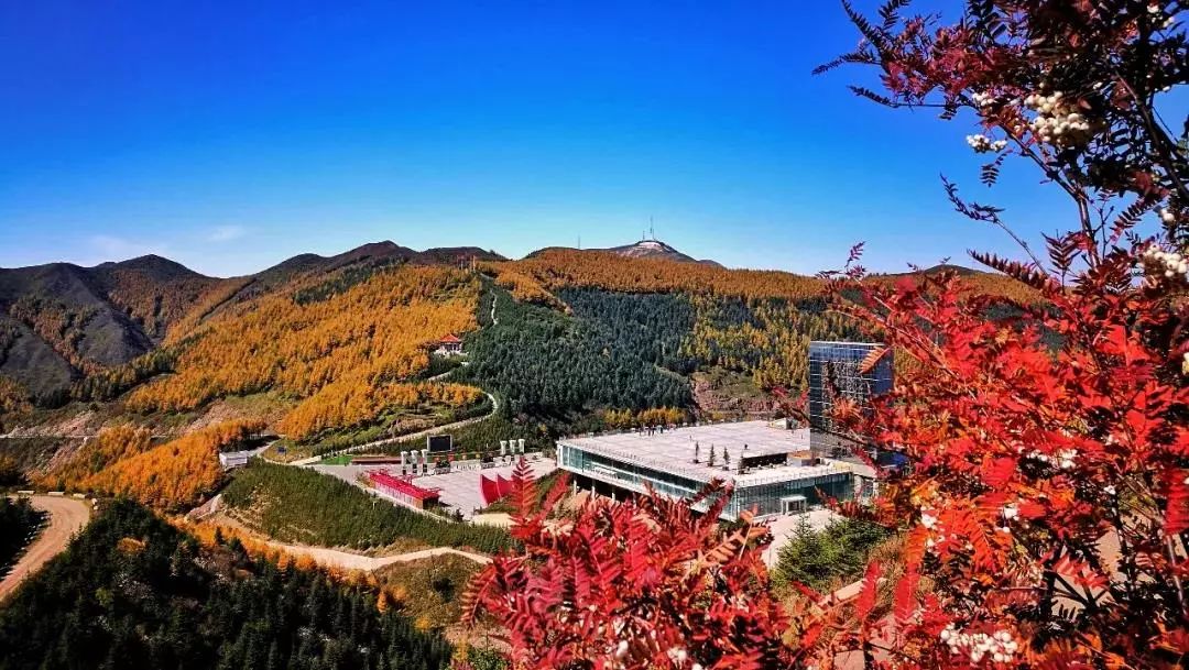 宁夏回族自治区一般包邮不,无货源内蒙和宁夏包邮吗