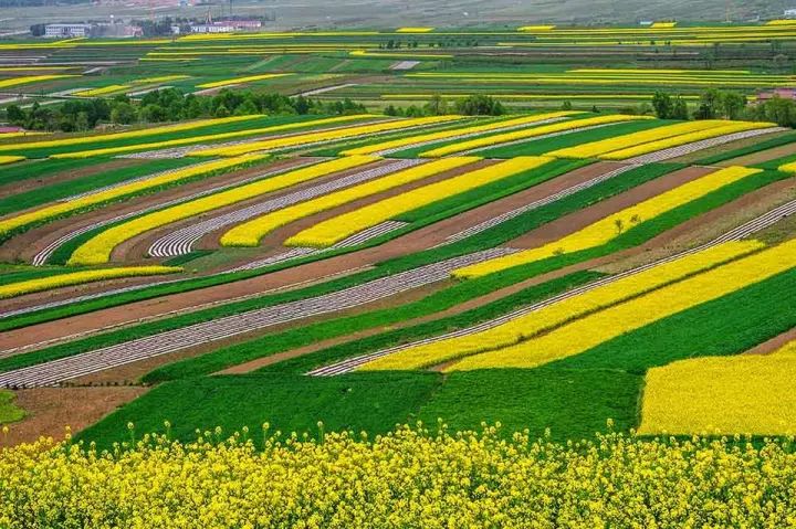 宁夏回族自治区一般包邮不,无货源内蒙和宁夏包邮吗