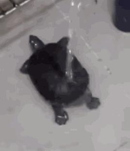 双11美妆剁手攻略,双11美妆爆款好物慢动作