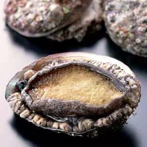 怒！名牌专坑中国游客？正品应该这样买！