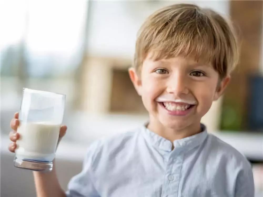 幼儿乳铁蛋白粉真的有用吗,乳铁蛋白粉与益生菌真的有用吗