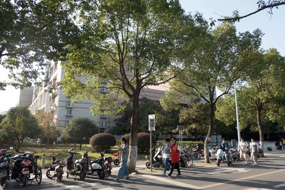 松下lx10徕卡镜头,松下lx10和佳能m50