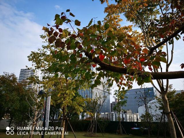 mate20pro测评优缺点,mate20pro缺点深度评测