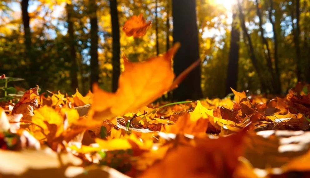 降温了记得添衣服,降温了记得添衣短句